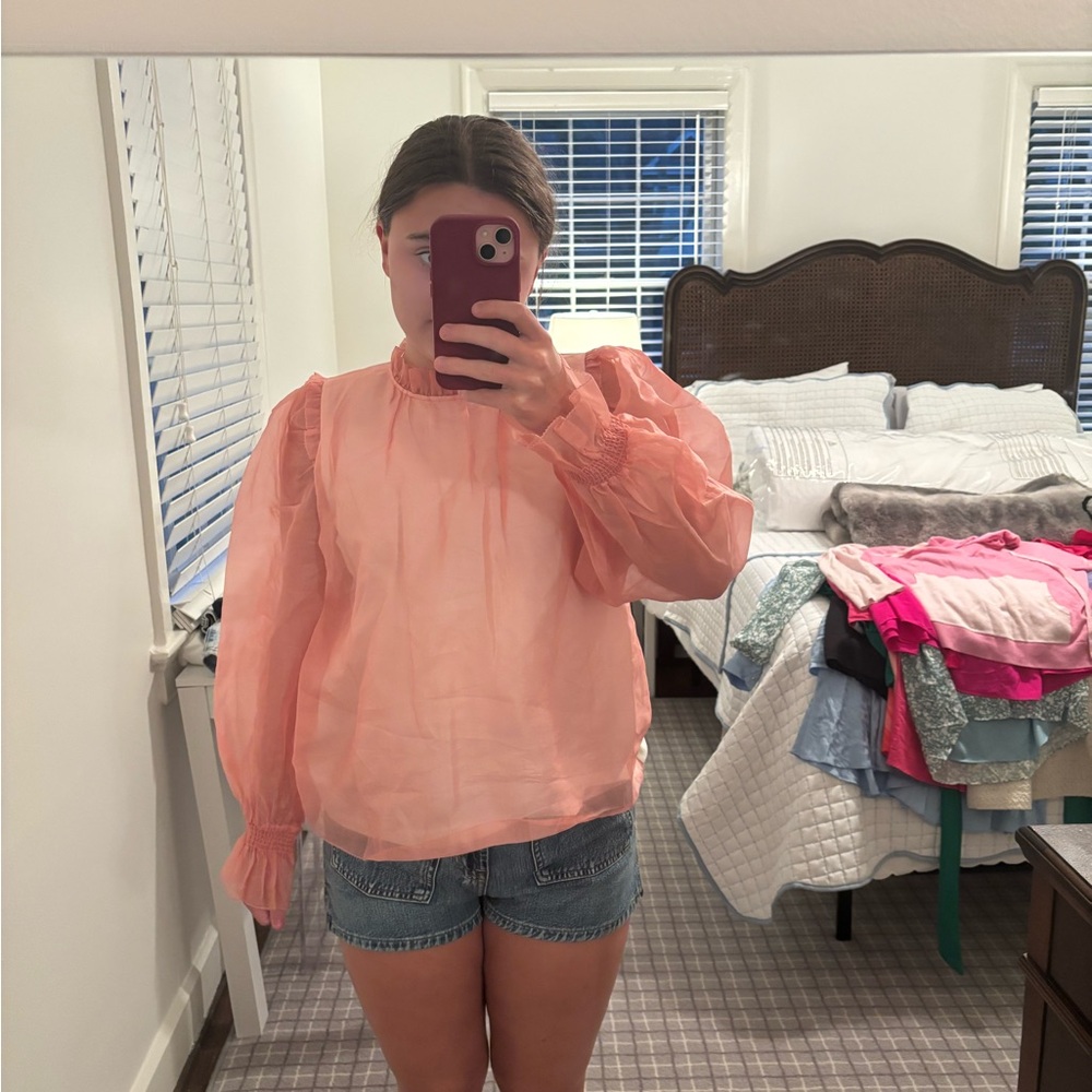 Pink Sheer Women's Top